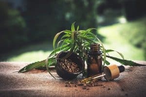 Migliore Olio con alto concentrato CBD