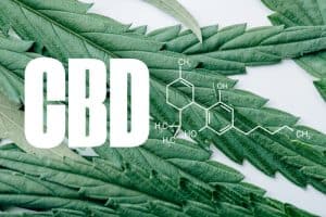 Effetti dell'olio CBD